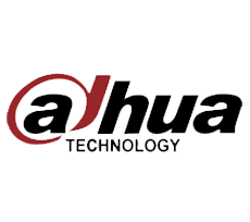 dahua